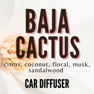 Baja Cactus Car Diffuser